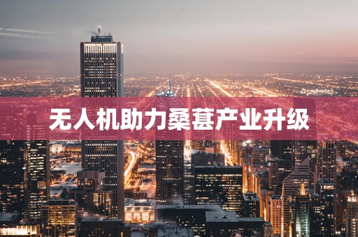 无人机助力桑葚产业升级