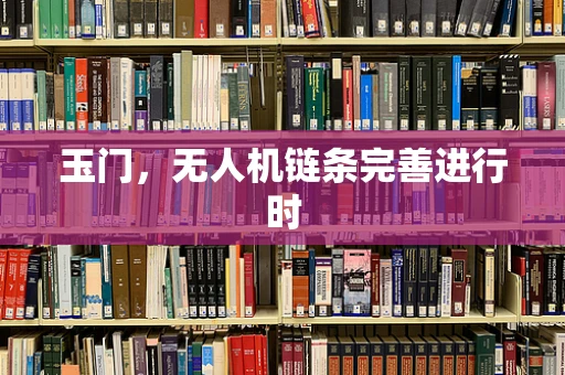 玉门，无人机链条完善进行时