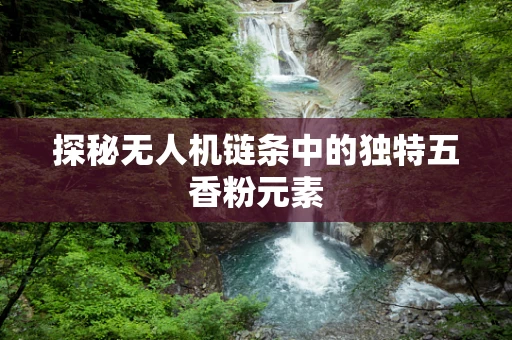 探秘无人机链条中的独特五香粉元素