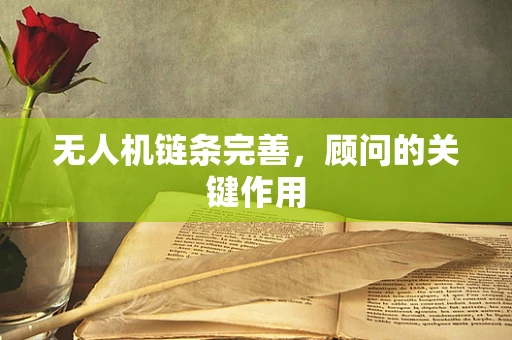 无人机链条完善，顾问的关键作用
