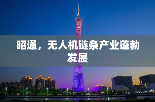 昭通，无人机链条产业蓬勃发展