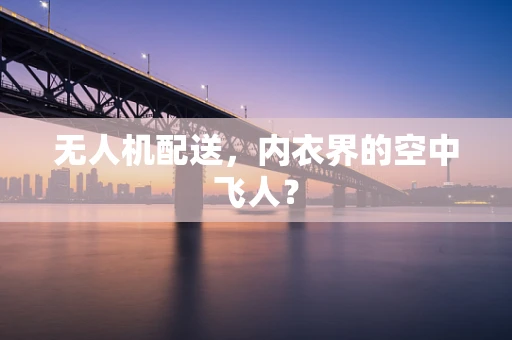 无人机配送，内衣界的空中飞人？