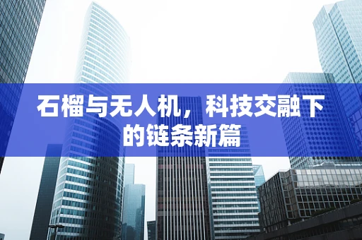石榴与无人机，科技交融下的链条新篇
