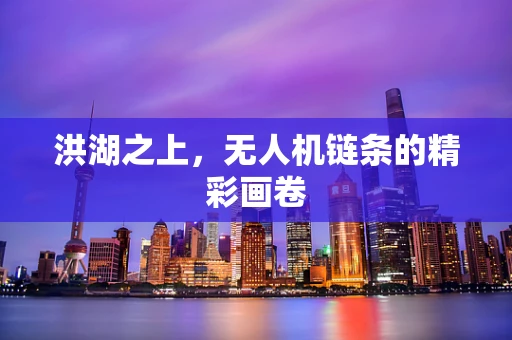 洪湖之上，无人机链条的精彩画卷