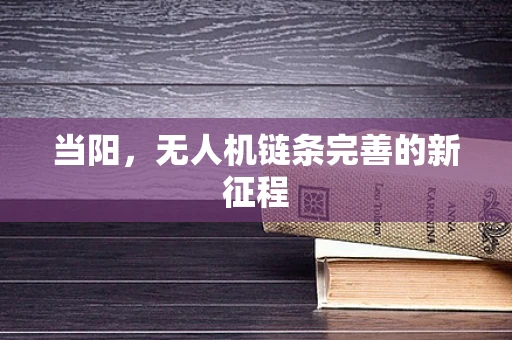 当阳，无人机链条完善的新征程