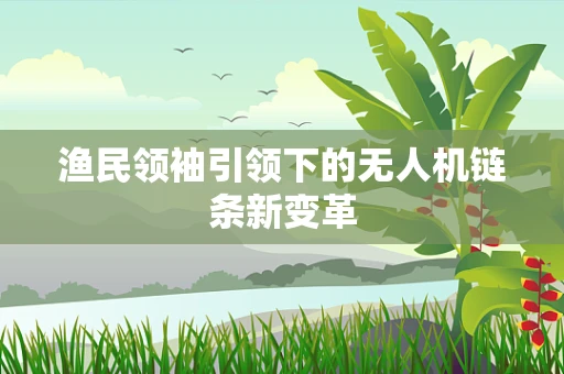 渔民领袖引领下的无人机链条新变革