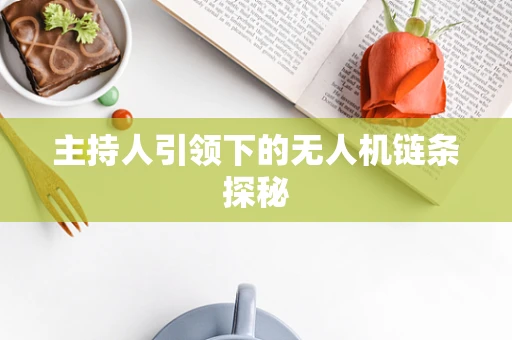 主持人引领下的无人机链条探秘