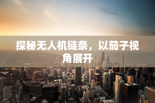 探秘无人机链条，以茄子视角展开