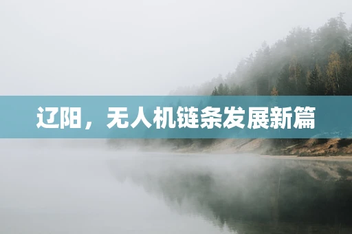 辽阳，无人机链条发展新篇