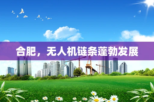合肥，无人机链条蓬勃发展