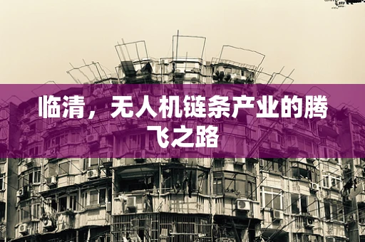 临清，无人机链条产业的腾飞之路