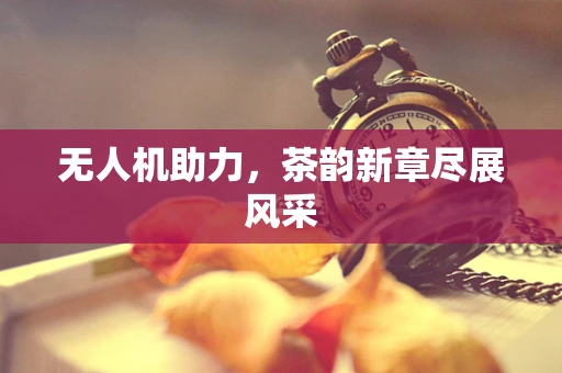 无人机助力，茶韵新章尽展风采