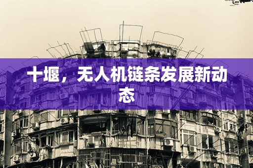 十堰，无人机链条发展新动态