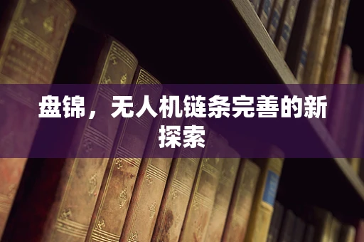 盘锦，无人机链条完善的新探索