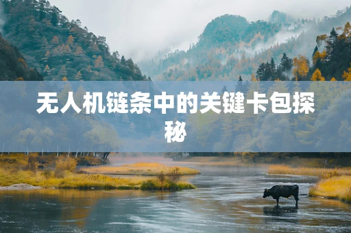 无人机链条中的关键卡包探秘