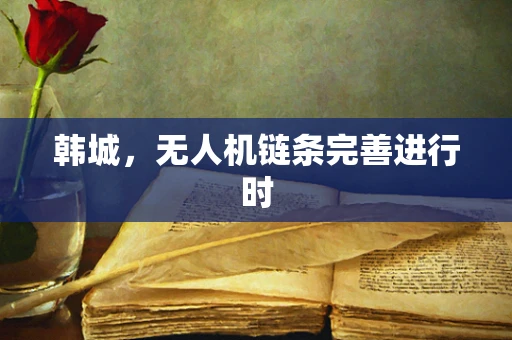 韩城，无人机链条完善进行时