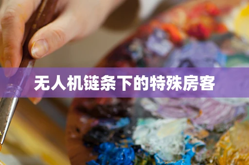 无人机链条下的特殊房客