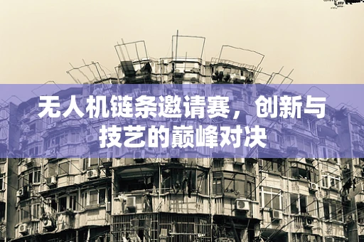 无人机链条邀请赛，创新与技艺的巅峰对决