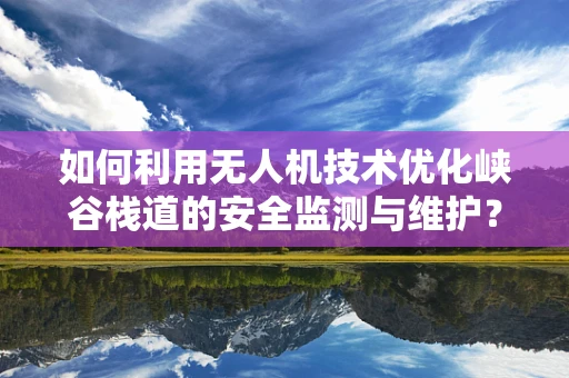 如何利用无人机技术优化峡谷栈道的安全监测与维护？
