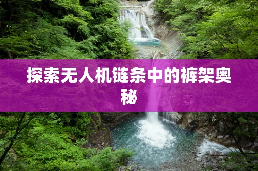 探索无人机链条中的裤架奥秘