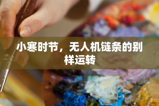 小寒时节，无人机链条的别样运转