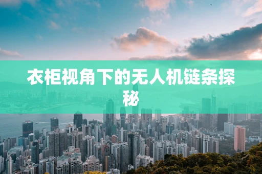 衣柜视角下的无人机链条探秘