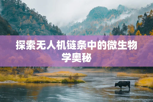 探索无人机链条中的微生物学奥秘