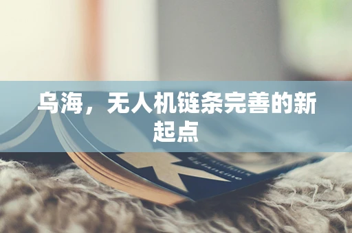 乌海，无人机链条完善的新起点