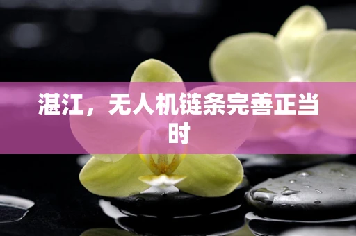 湛江，无人机链条完善正当时