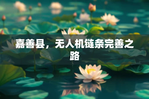 嘉善县，无人机链条完善之路
