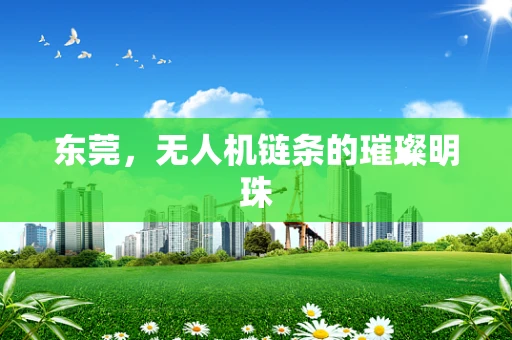 东莞，无人机链条的璀璨明珠