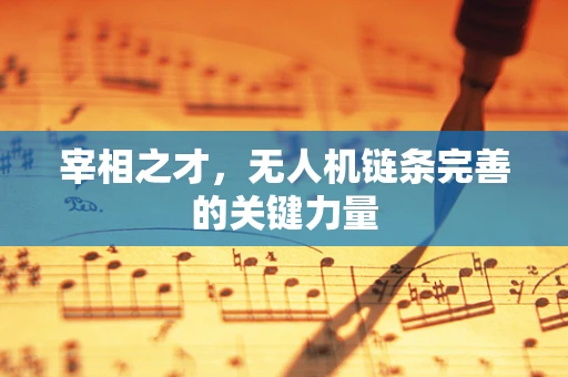 宰相之才，无人机链条完善的关键力量