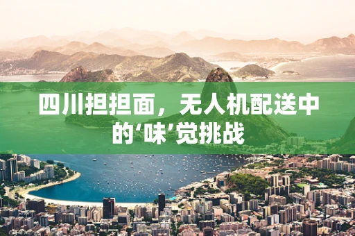四川担担面，无人机配送中的‘味’觉挑战