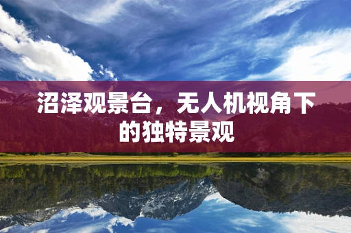 沼泽观景台，无人机视角下的独特景观