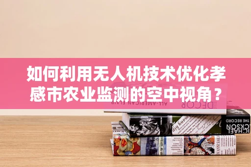 如何利用无人机技术优化孝感市农业监测的空中视角？