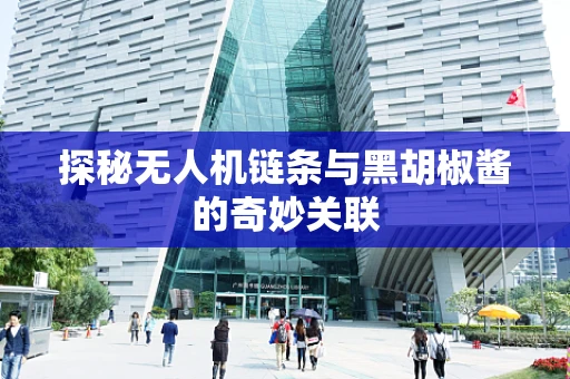 探秘无人机链条与黑胡椒酱的奇妙关联