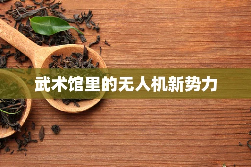 武术馆里的无人机新势力