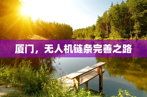厦门，无人机链条完善之路