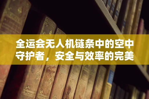 全运会无人机链条中的空中守护者，安全与效率的完美平衡如何实现？