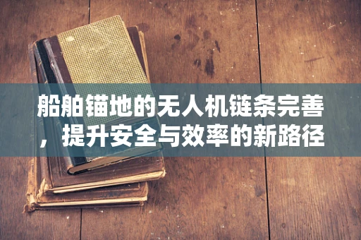 船舶锚地的无人机链条完善，提升安全与效率的新路径