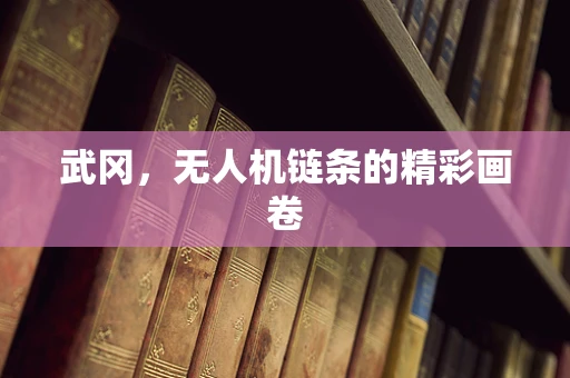 武冈，无人机链条的精彩画卷