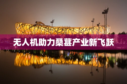 无人机助力桑葚产业新飞跃