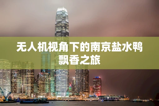 无人机视角下的南京盐水鸭飘香之旅