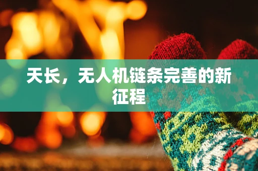 天长，无人机链条完善的新征程