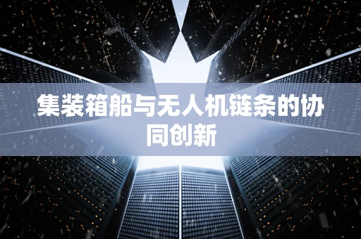 集装箱船与无人机链条的协同创新