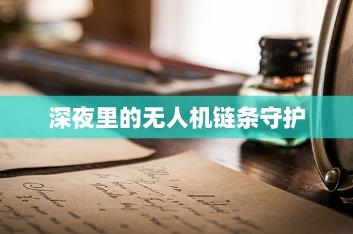 深夜里的无人机链条守护