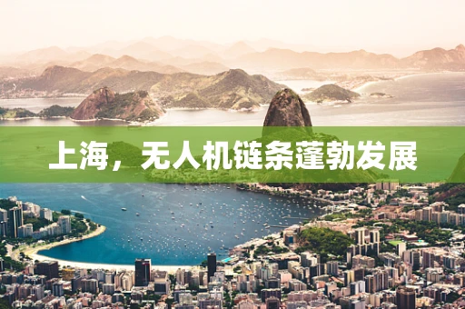 上海，无人机链条蓬勃发展