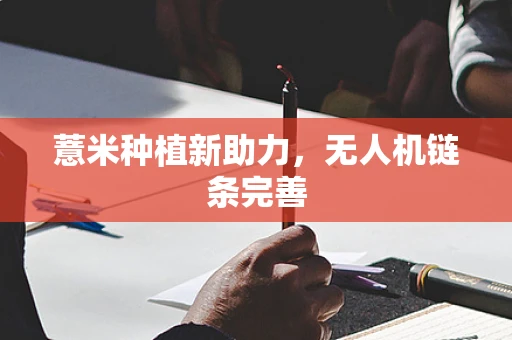 薏米种植新助力，无人机链条完善