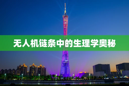 无人机链条中的生理学奥秘
