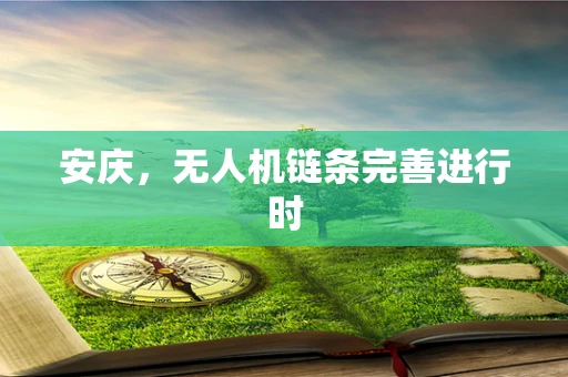 安庆，无人机链条完善进行时